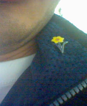Daffodil pin