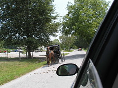 three Amish buggies