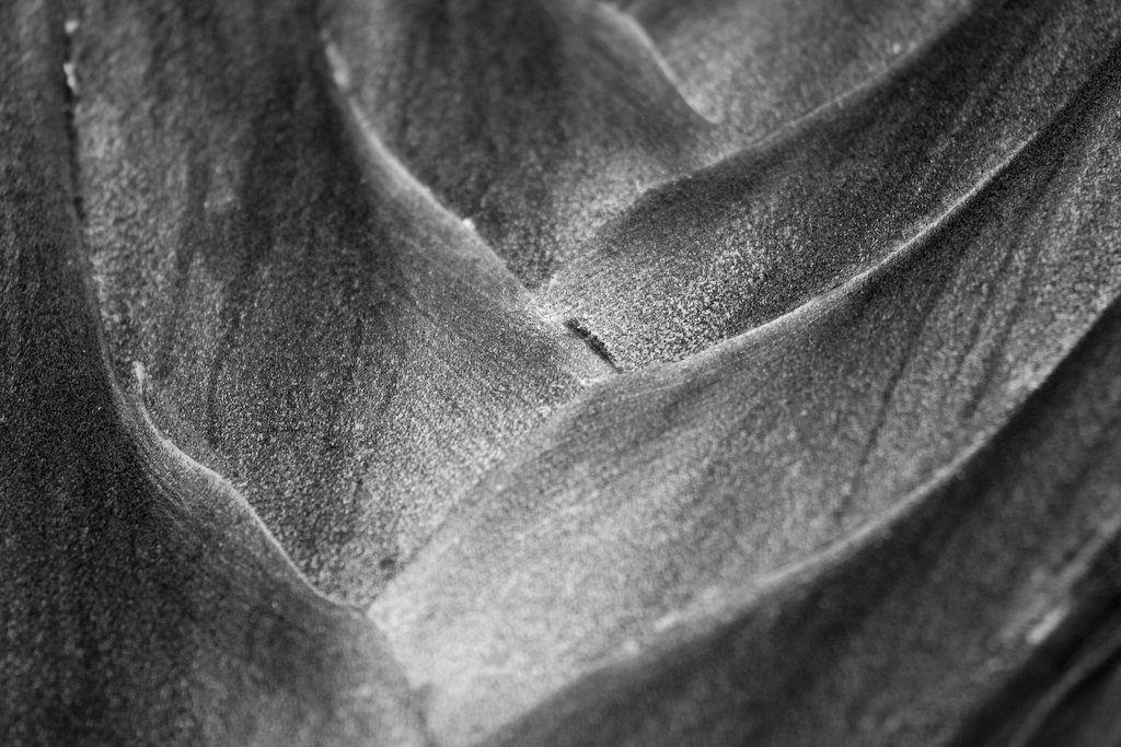 Texture can be a very strong attribute in Black & White photography.
